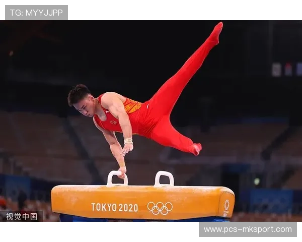 体操鞍马选手全程稳定无明显瑕疵