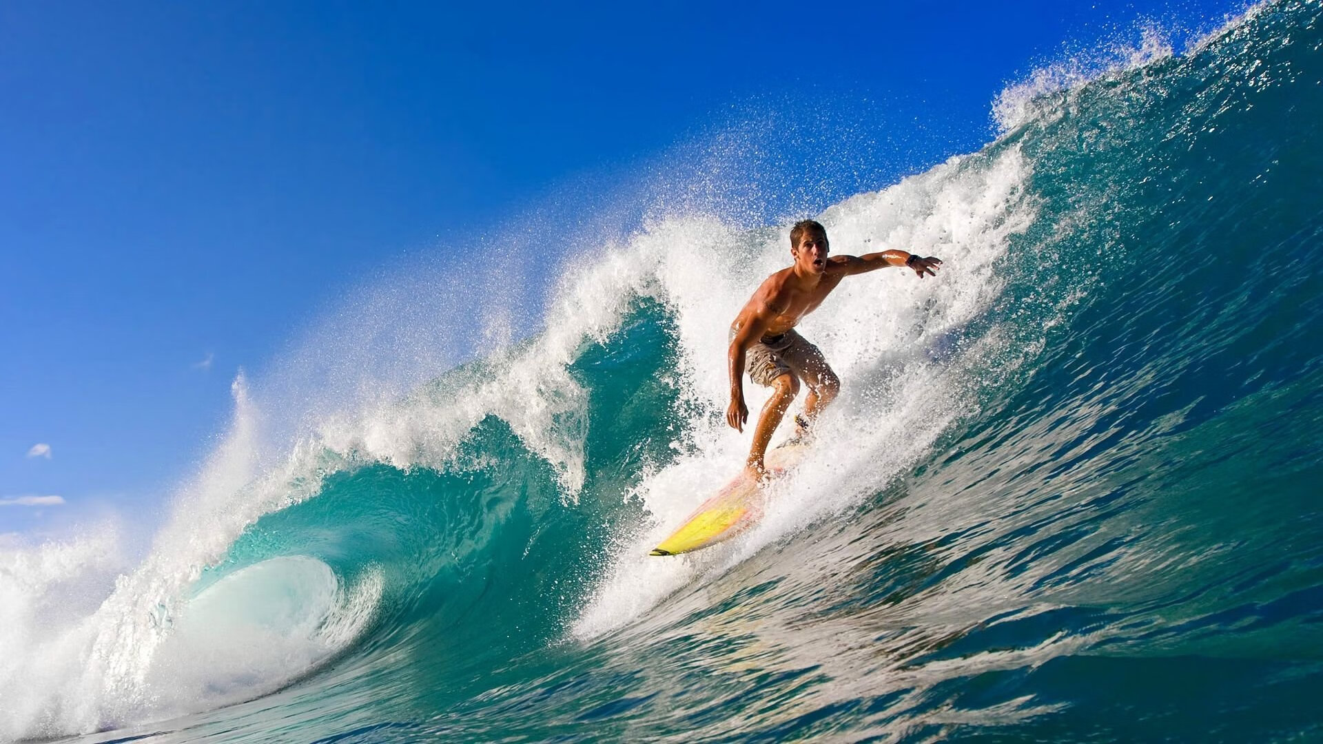 中国篮球队伍建设中的团队文化塑造，篮球运动团队精神的意义